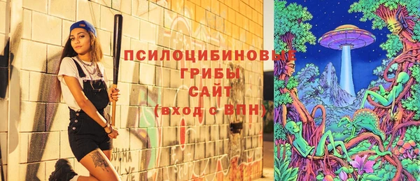 Альфа ПВП Корсаков