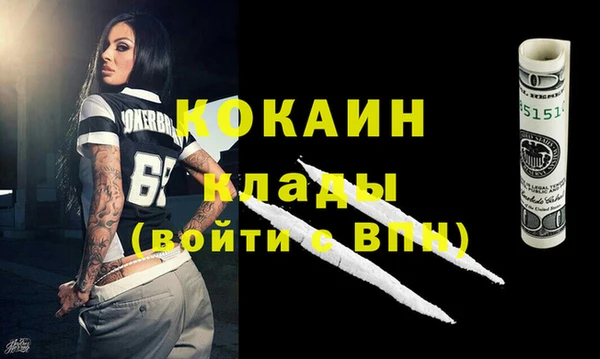ГАЛЛЮЦИНОГЕННЫЕ ГРИБЫ Коряжма