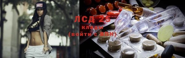 ГАЛЛЮЦИНОГЕННЫЕ ГРИБЫ Коряжма