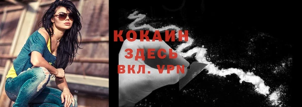 ГАЛЛЮЦИНОГЕННЫЕ ГРИБЫ Коряжма