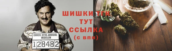 Альфа ПВП Корсаков