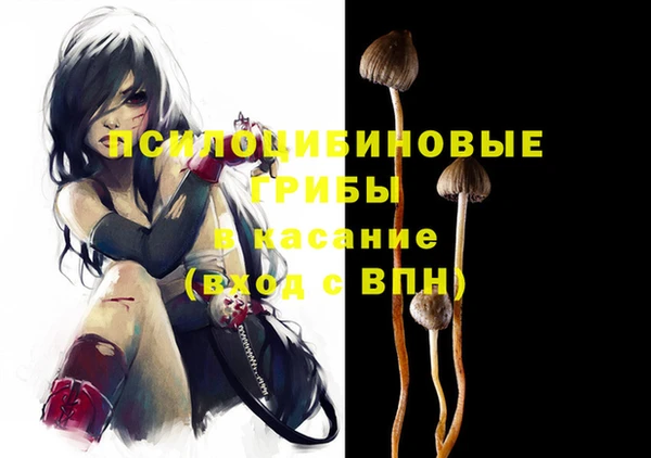 кокс Костерёво